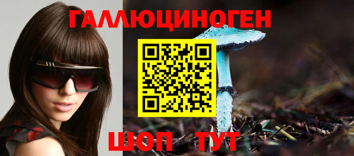 Галлюциногенные грибы MAGIC MUSHROOMS  Псилоцибиновые грибы Magic Shrooms  Вольск  Вход с VPN 